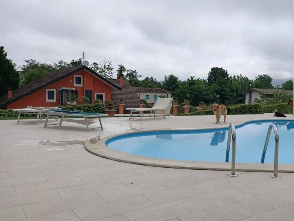 Villa Annamaria Cassino Esterno foto