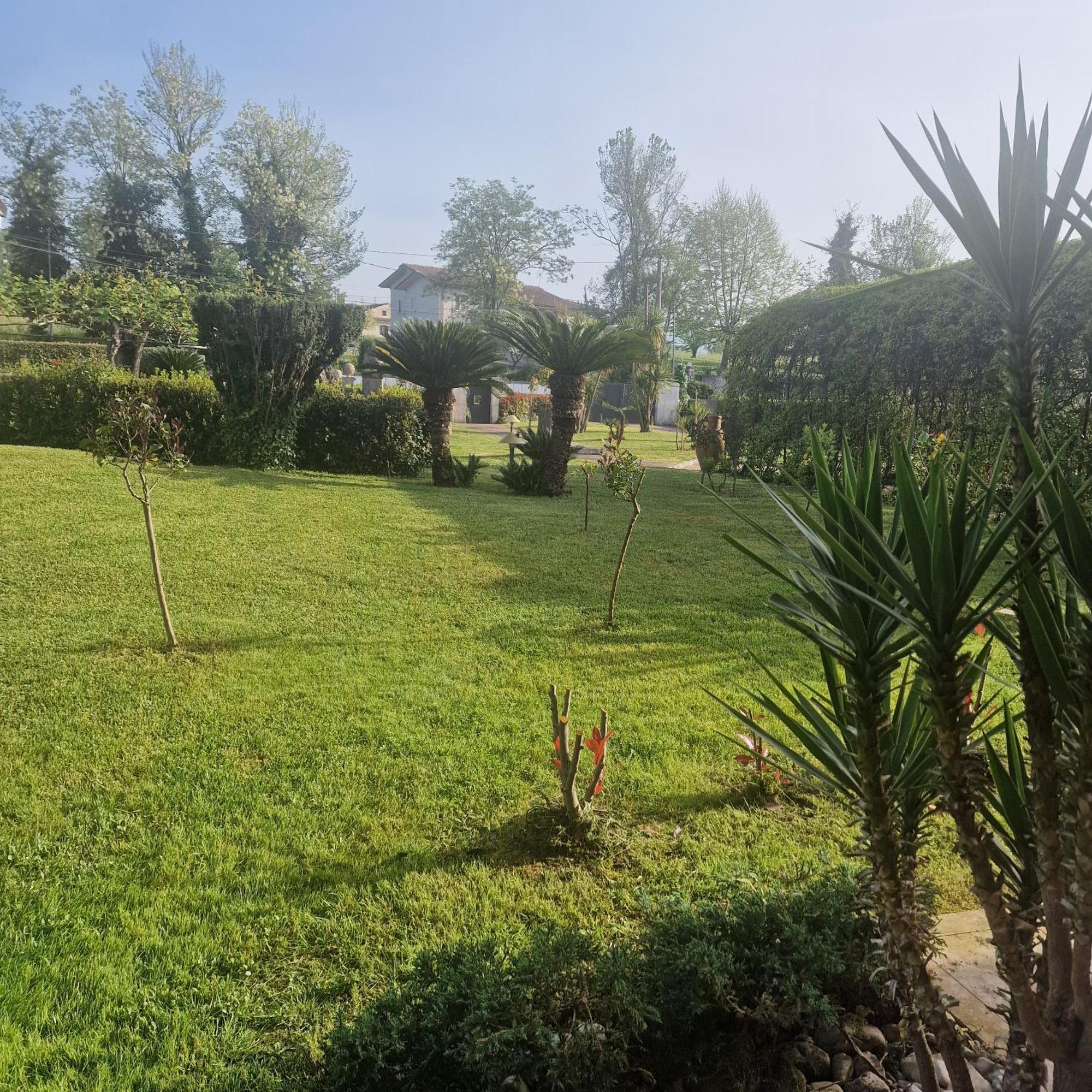 Villa Annamaria Cassino Esterno foto